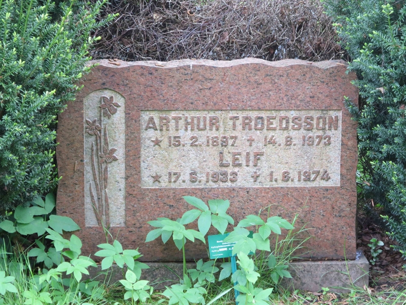 Grave number: HÖB 70C    57