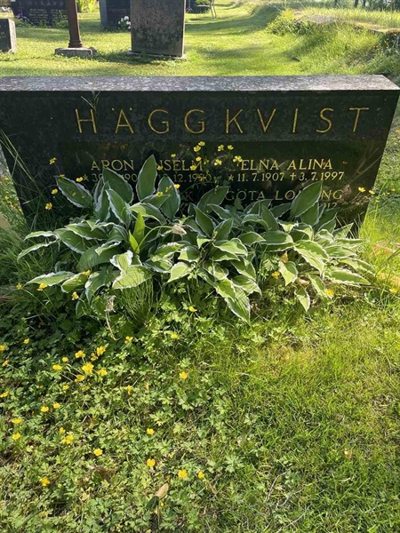 Gravnummer: N 5 2   279