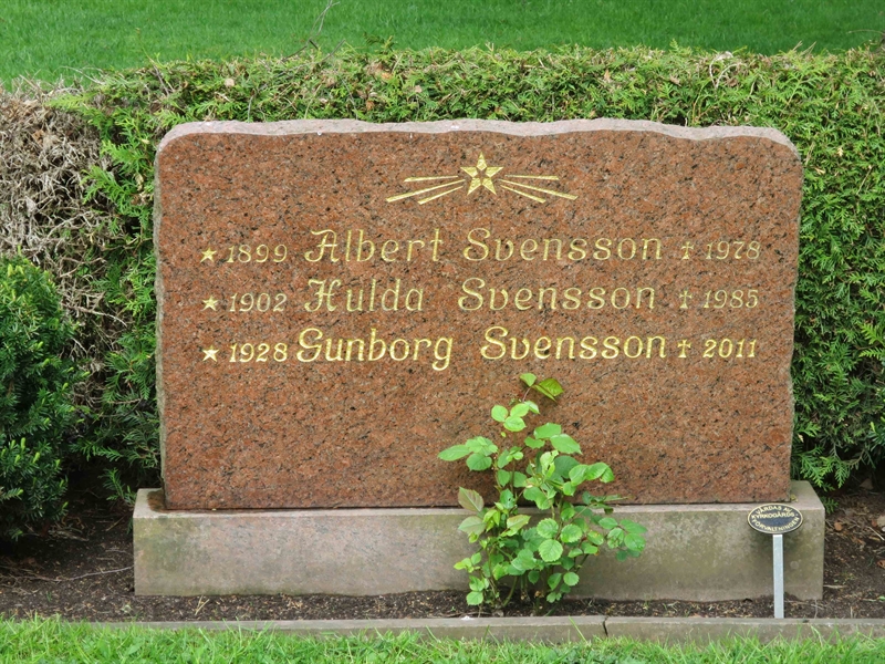 Grave number: HÖB 71    67