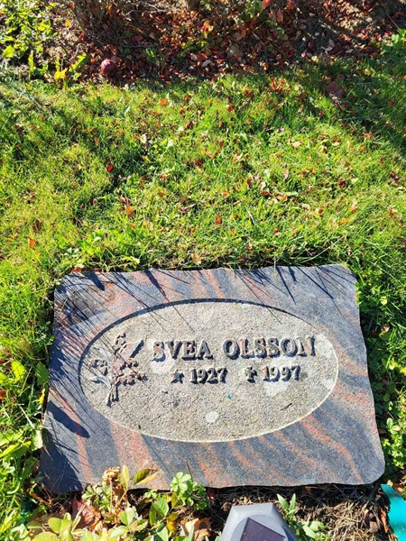 Grave number: R RRU   299