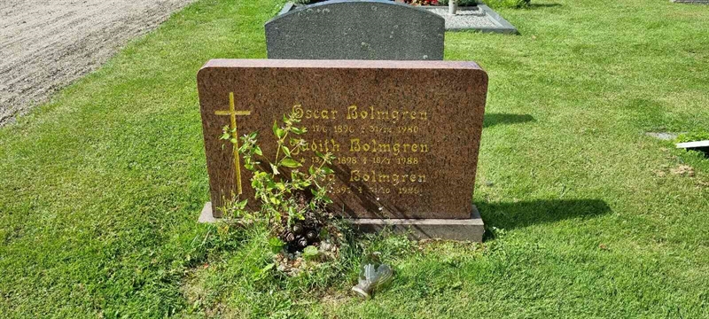 Grave number: LM 3 50  009