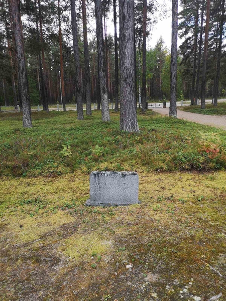 Hautatunnus: VLM 06    15:1