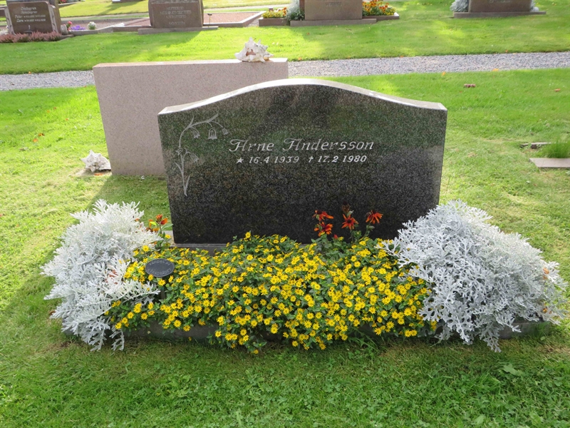 Grave number: 1 01  105