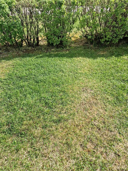 Hautatunnus: 502  2083