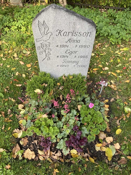 Gravnummer: 1 H   240