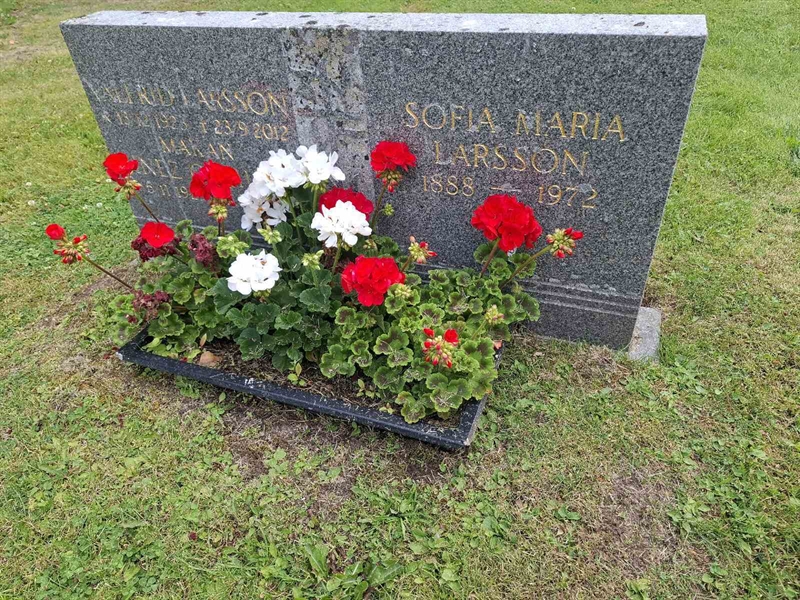 Grave number: 001 2   991