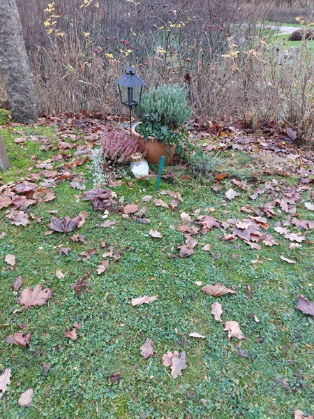 Grave number: SN 02    13, 14