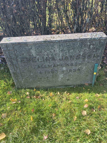 Hautatunnus: 6 04    224