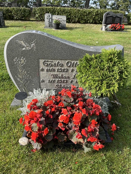 Hautatunnus: Lax mell Kv8    29+30