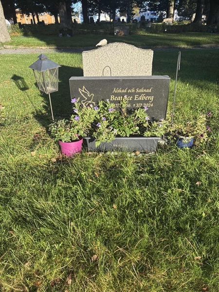 Grave number: 2 11    31