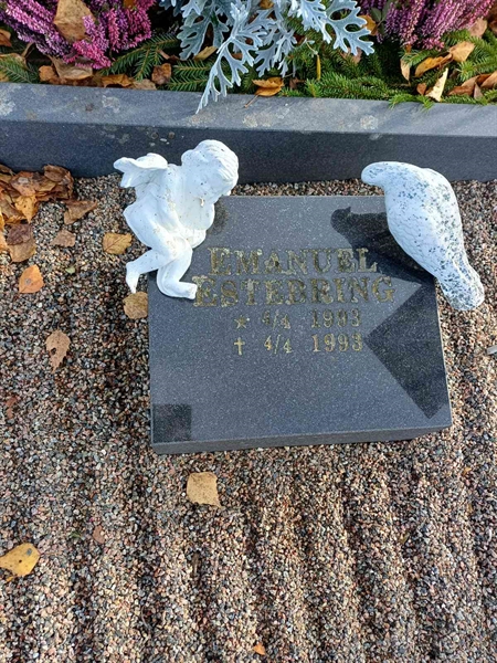 Grave number: JÄ 1 A 1262, 1263, 1264