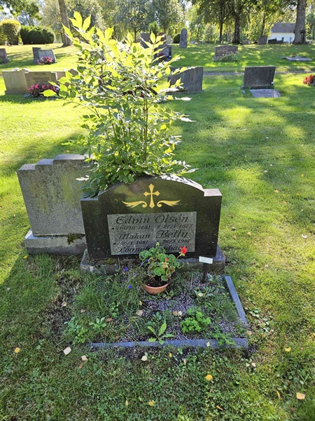 Grave number: Fr 7   211-212