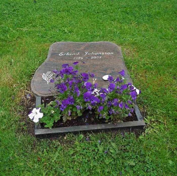 Grave number: SN U8    75