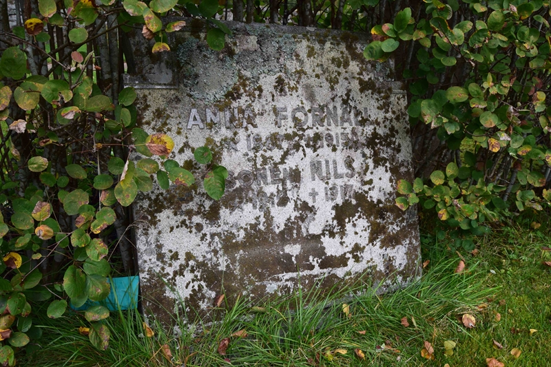 Grave number: 01 5    49