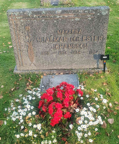 Gravnummer: 1 Z   102