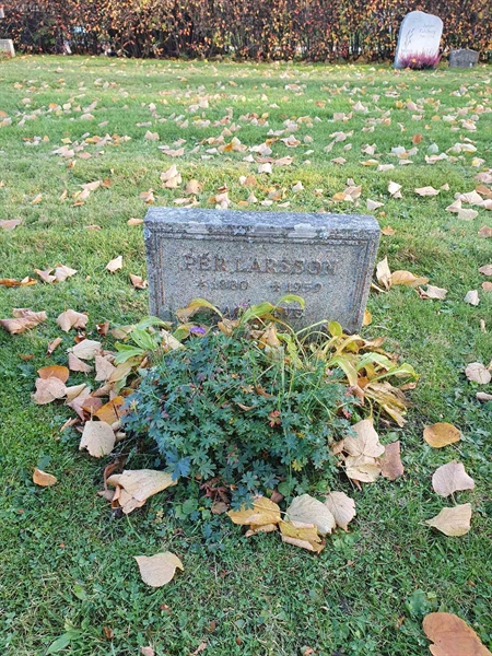 Grave number: D G 4   774a