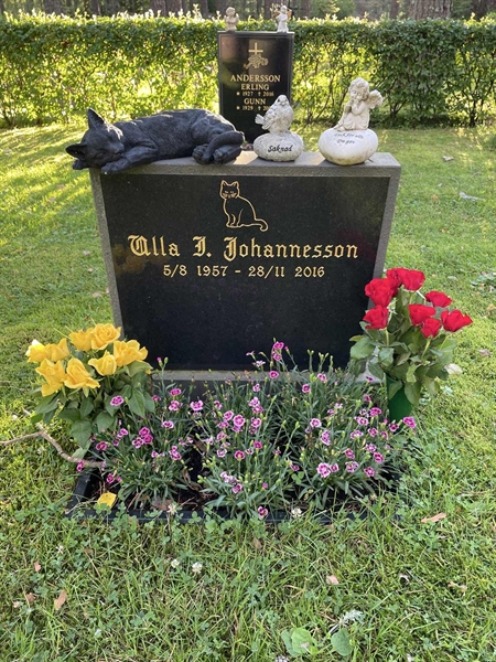 Grave number: 1 KV12   158