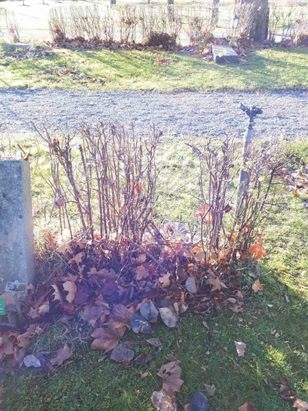 Gravnummer: GK U 2    57