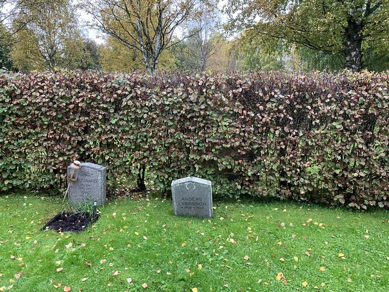 Hautatunnus: 1 2  3926