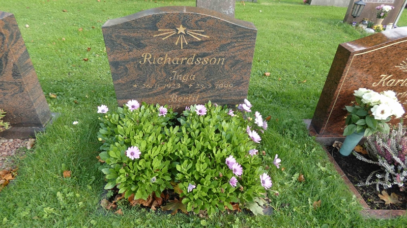 Grave number: SN D   311