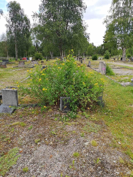 Grave number: SK L     5