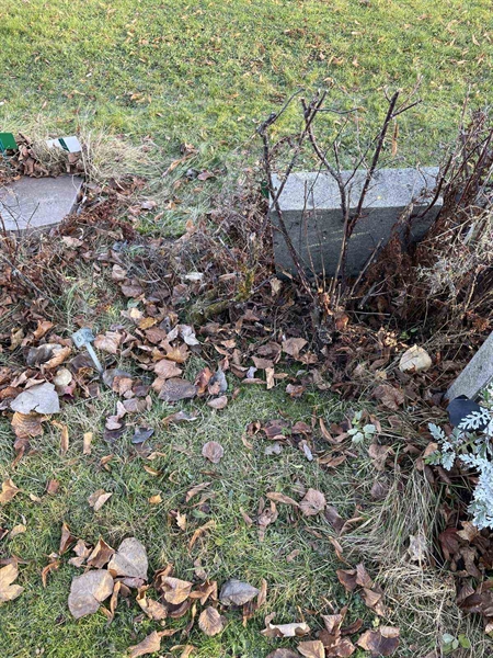 Gravnummer: GK A 3   611