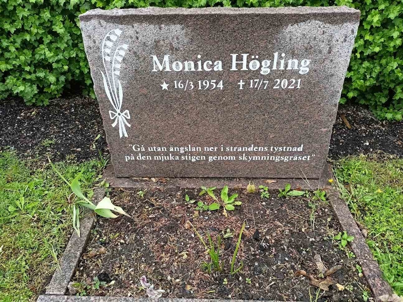 Gravnummer: 1 N UL    31