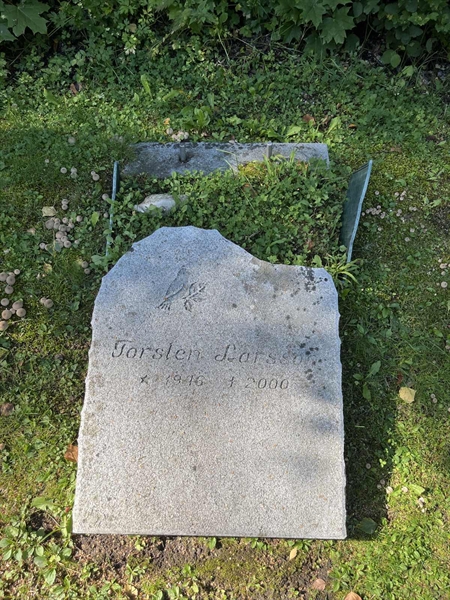 Grave number: 5 06   607