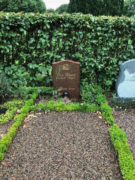 Grave number: Kå 49    24