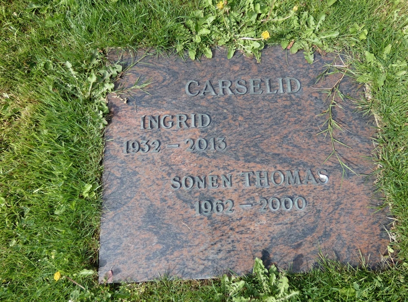 Grave number: TR C    11