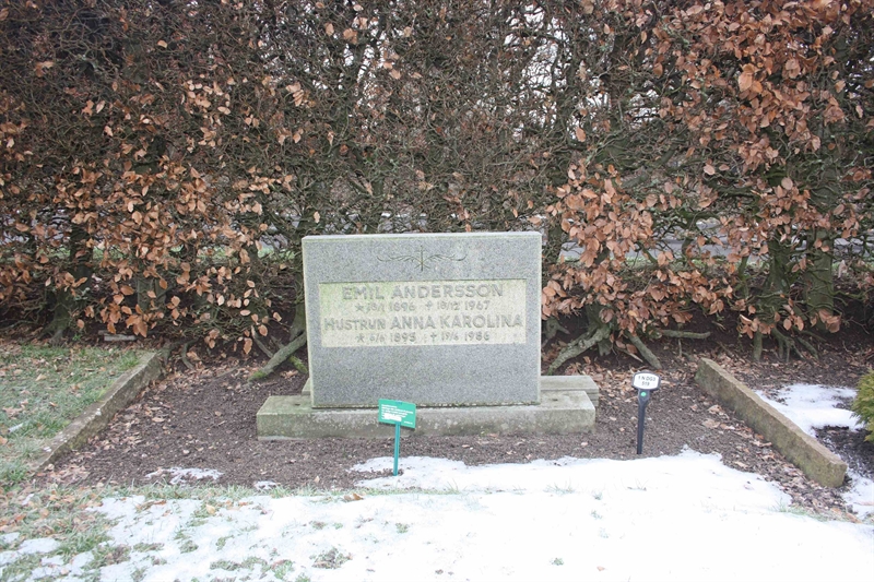 Grave number: 1 n DG3   519