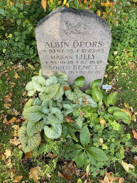 Gravnummer: 1 H   255