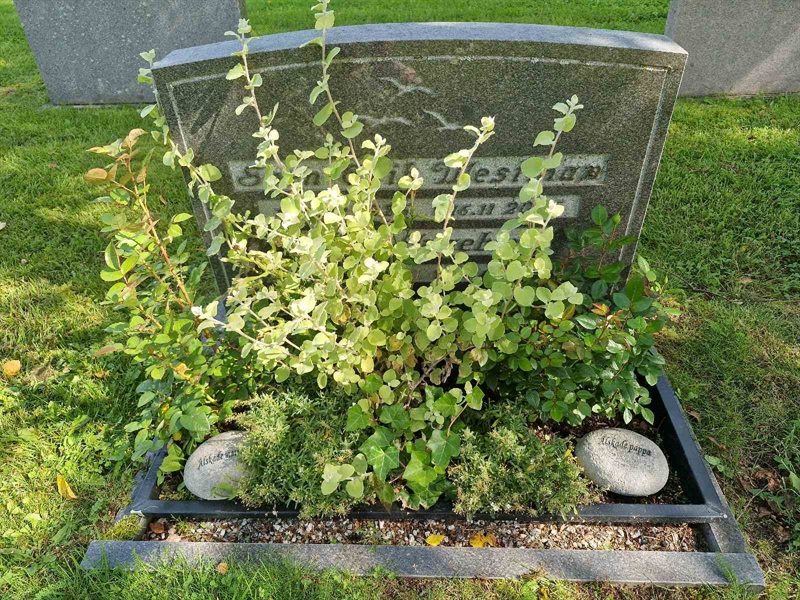 Grave number: AK E  7745-7746