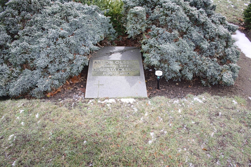 Grave number: 1 n DG3   545