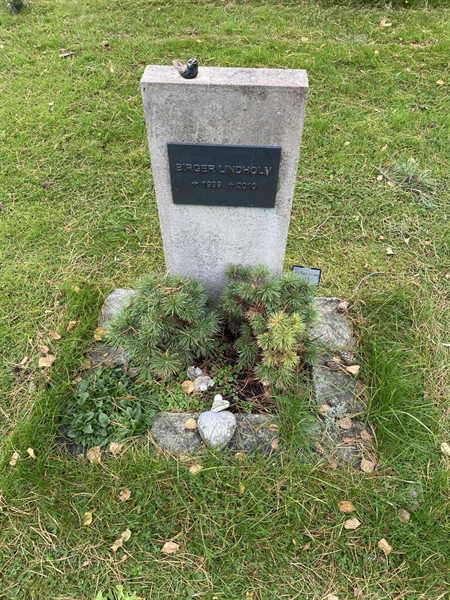 Gravnummer: 2 C   972