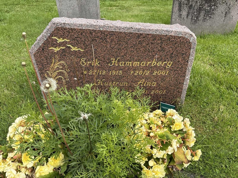 Hautatunnus: SÄ NYA   238-239