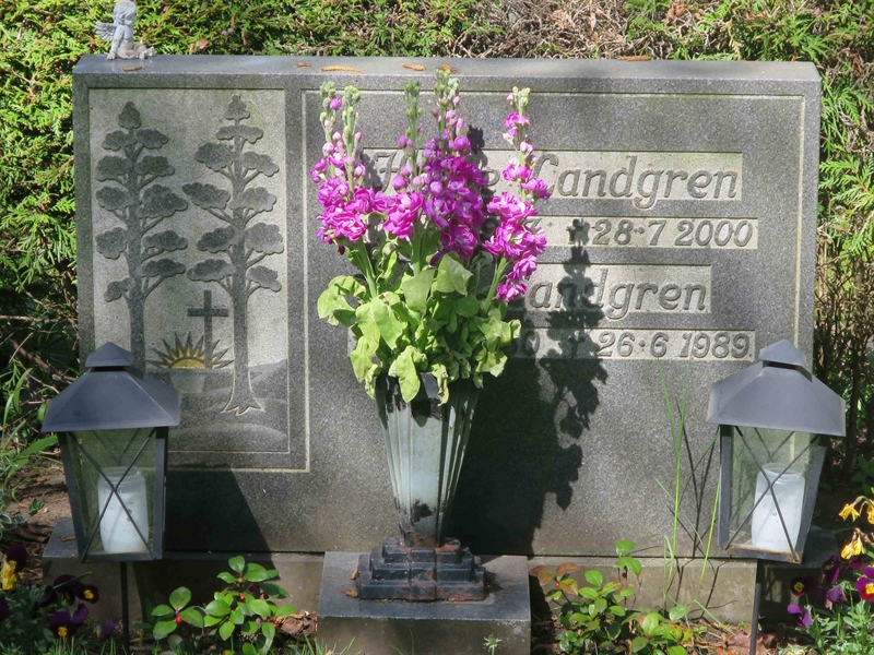 Grave number: HÖB 77     9
