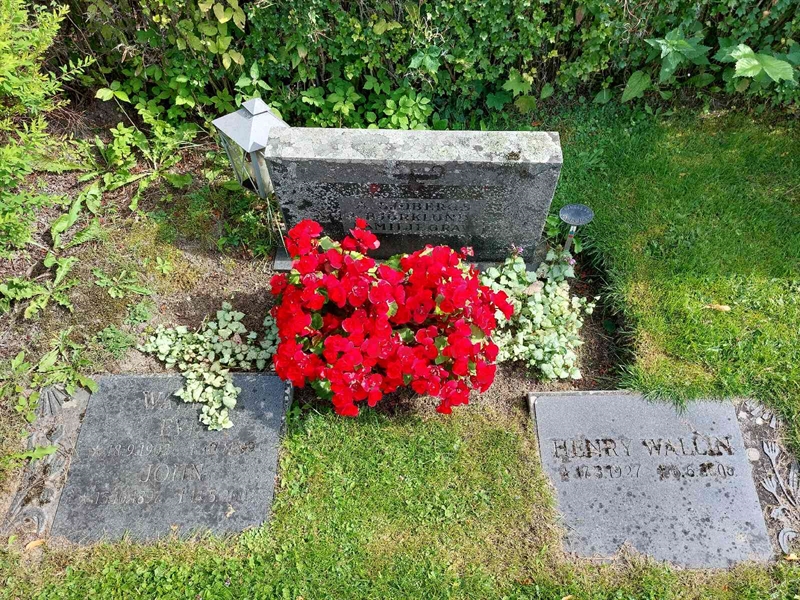 Hautatunnus: 1 D   096