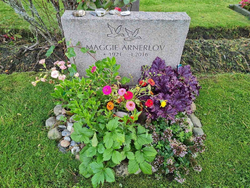 Grave number: Ö IV D  181
