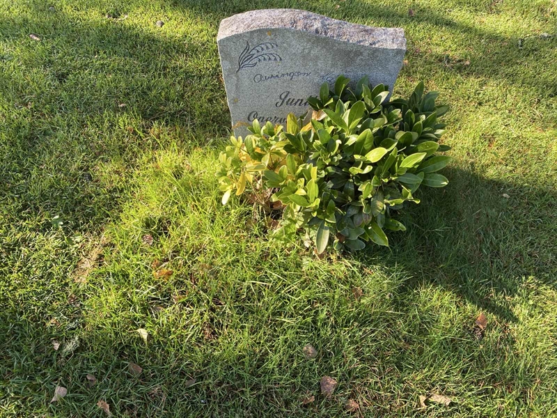 Hautatunnus: 2 F    35