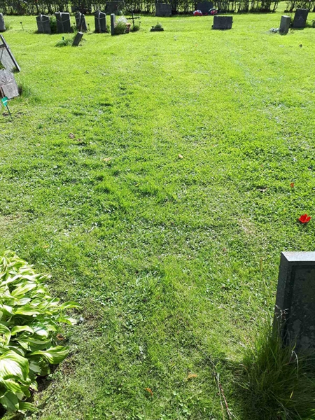 Hautatunnus: NK A A   131