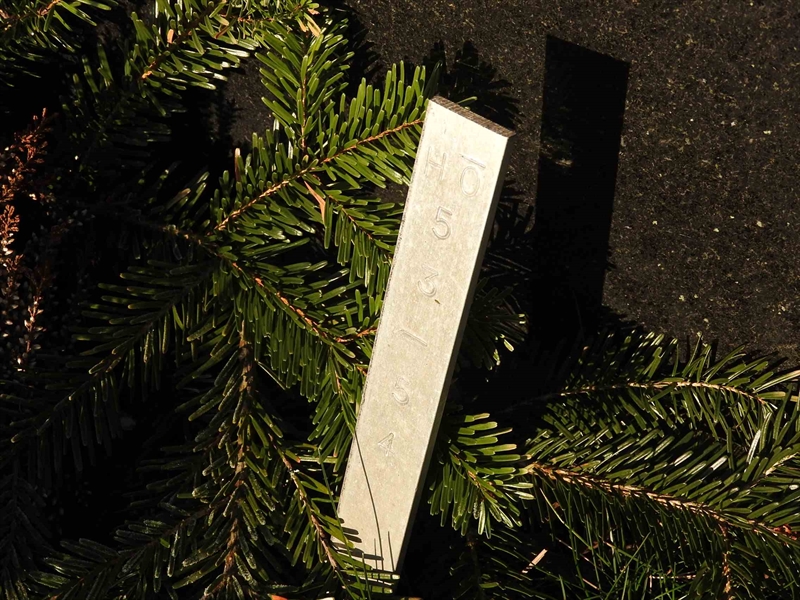 Hautatunnus: GK HÖ    53-54