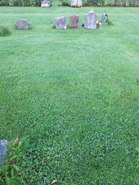 Gravnummer: NK A A   364