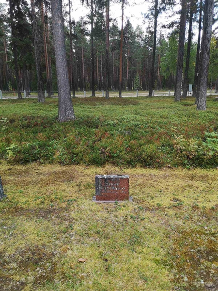 Hautatunnus: VLM 06    10:1