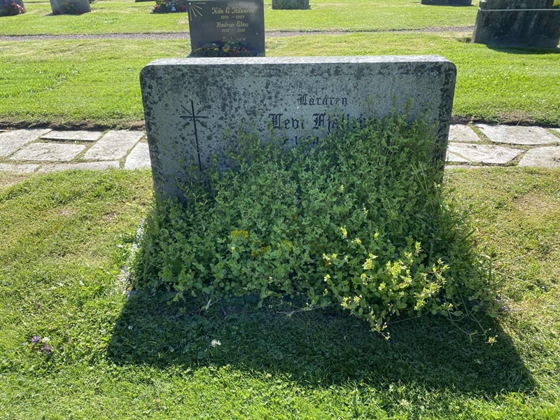 Grave number: 8 2 06    75-76