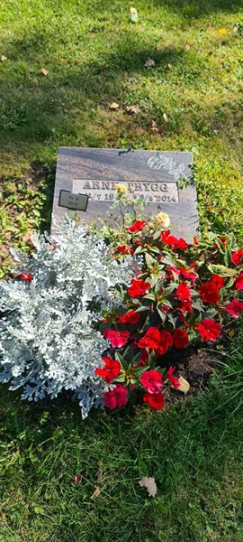 Grave number: M B   50, 51