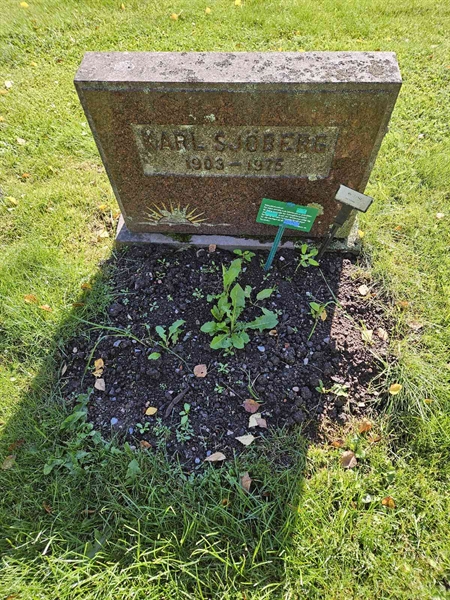 Grave number: Fr 7   140