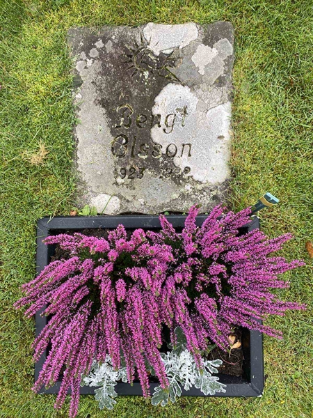 Gravnummer: 1 24    121