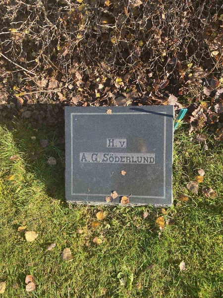 Hautatunnus: 6 04    231