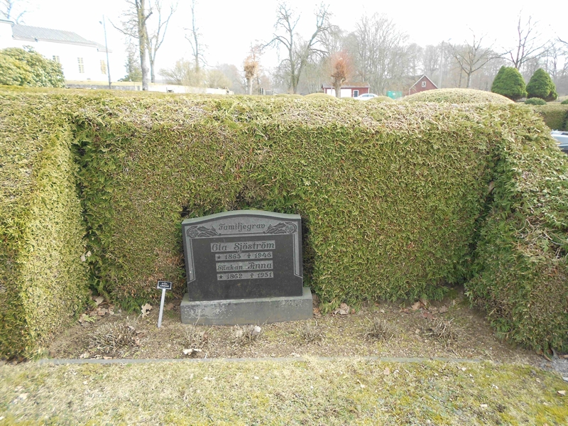 Grave number: V 14    31